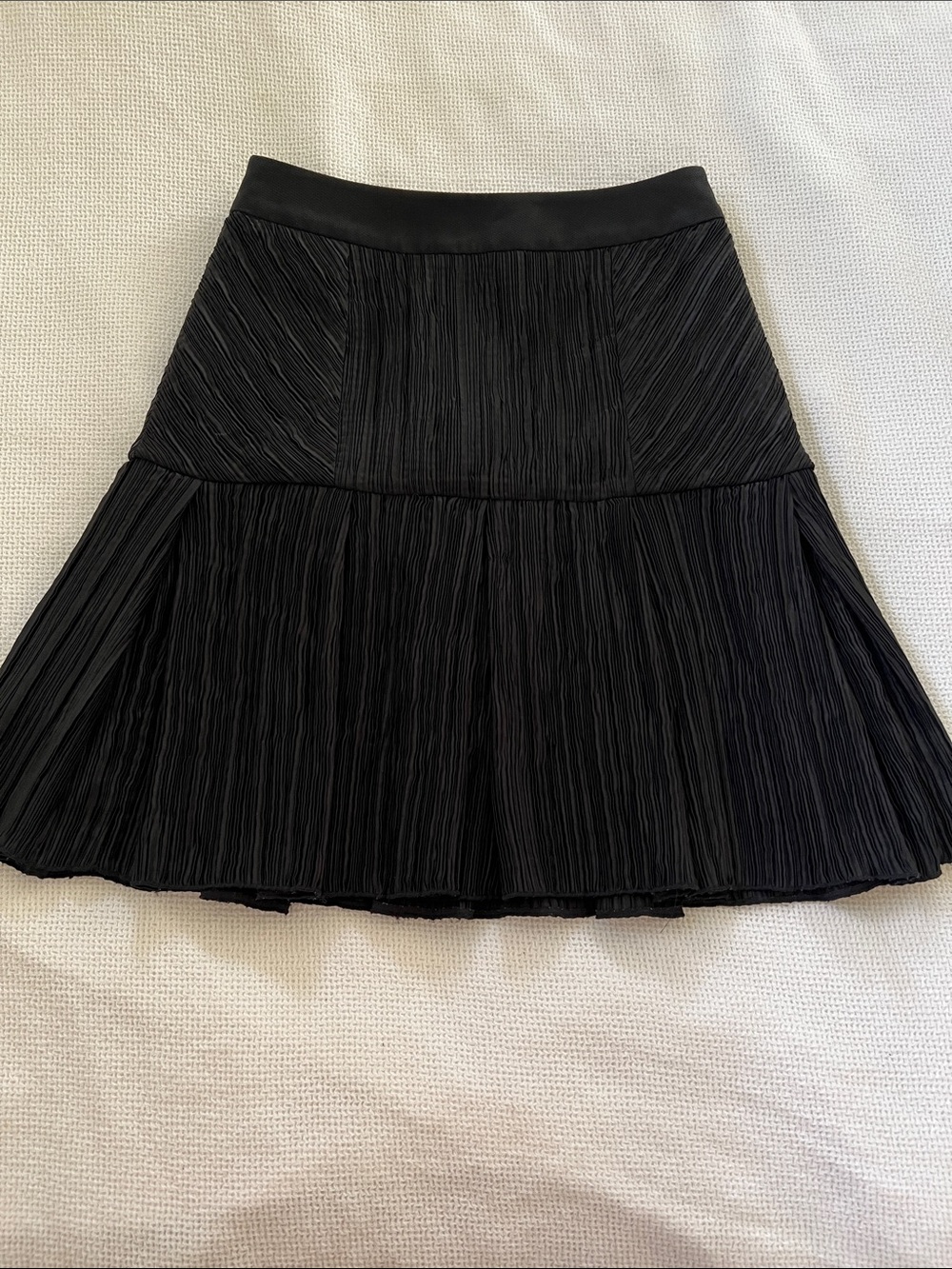 Black Textured Pleated A-Line Skirt